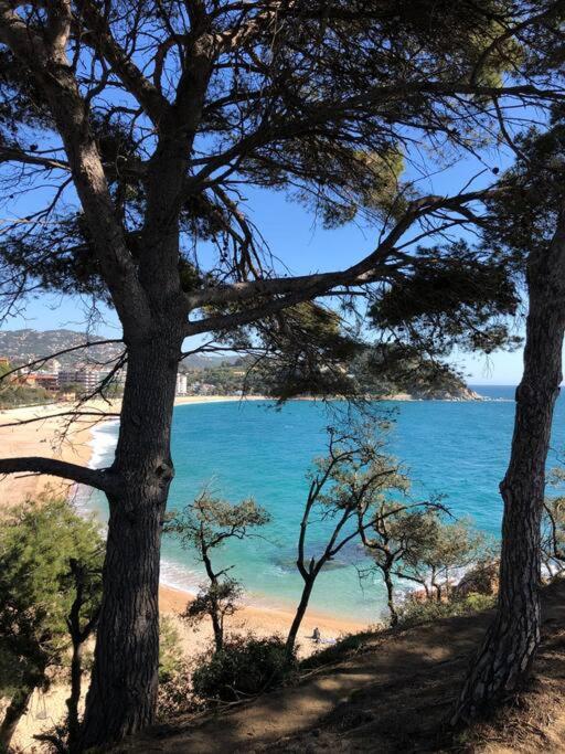 Mare Nostrum,12 Personen, Panoramisch Zeezicht Vakantiehuis