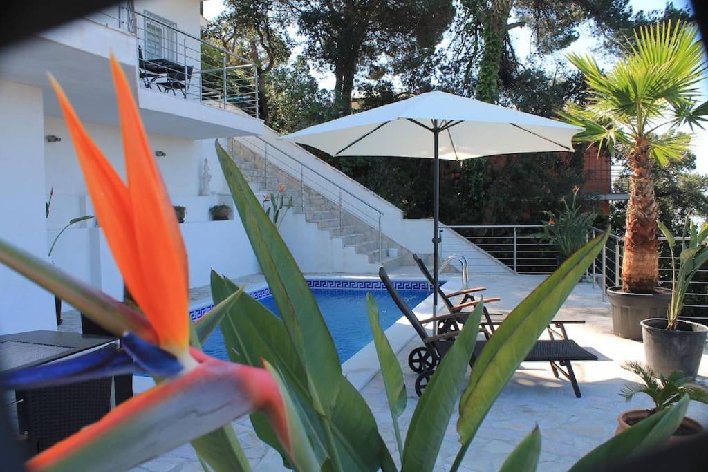 Lloret De Mar, Casa Arjane Lloret de Mar