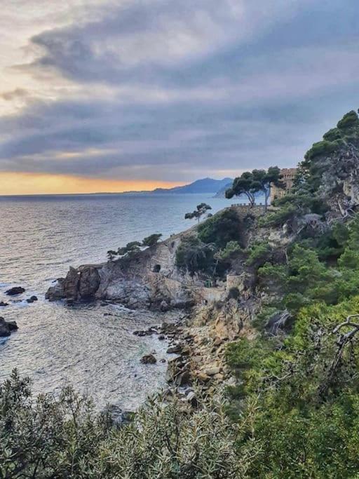 Seahomes Vacations - Acacias Beach&chic * Lloret de Mar