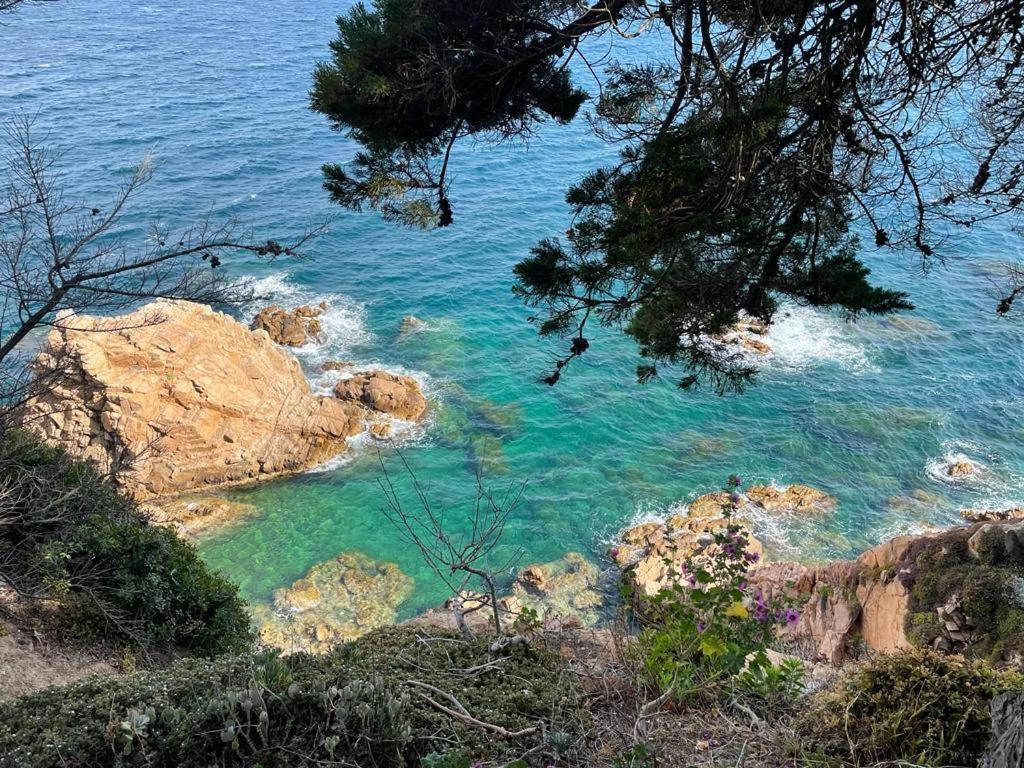 Costa Brava Bella Fenals Apartment *