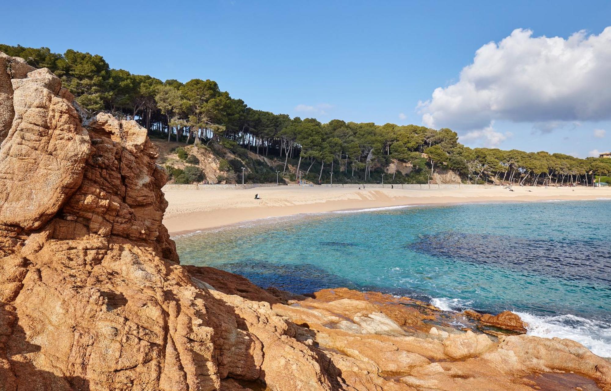 Apartment My Alva Park - 50m From The Lloret de Mar