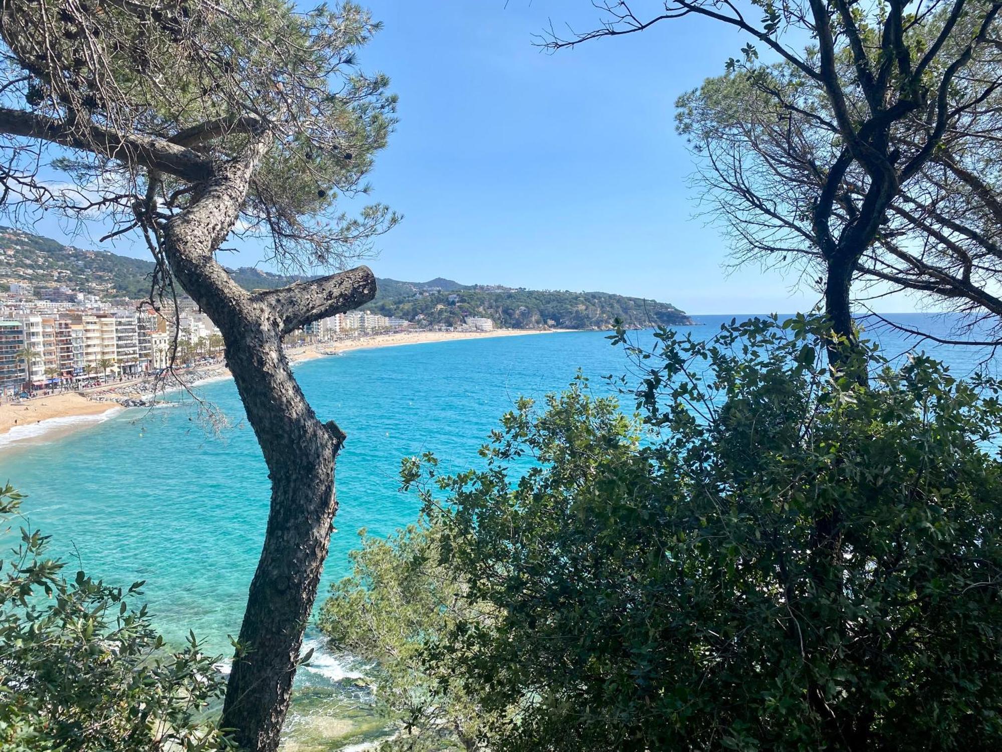 My Alva Park - 50m From The * Lloret de Mar