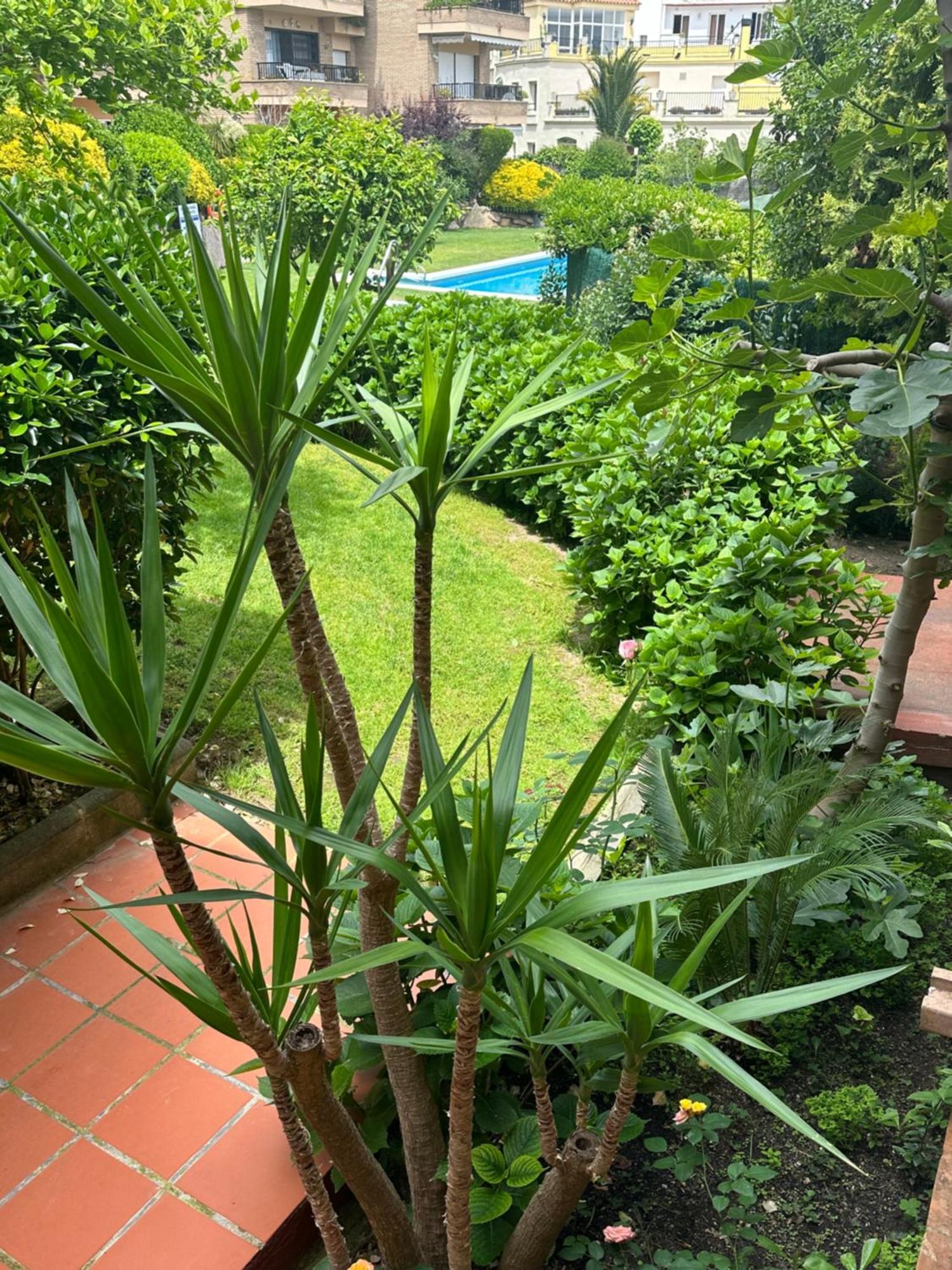 Appartement Casa San Gabriel Lloret de Mar