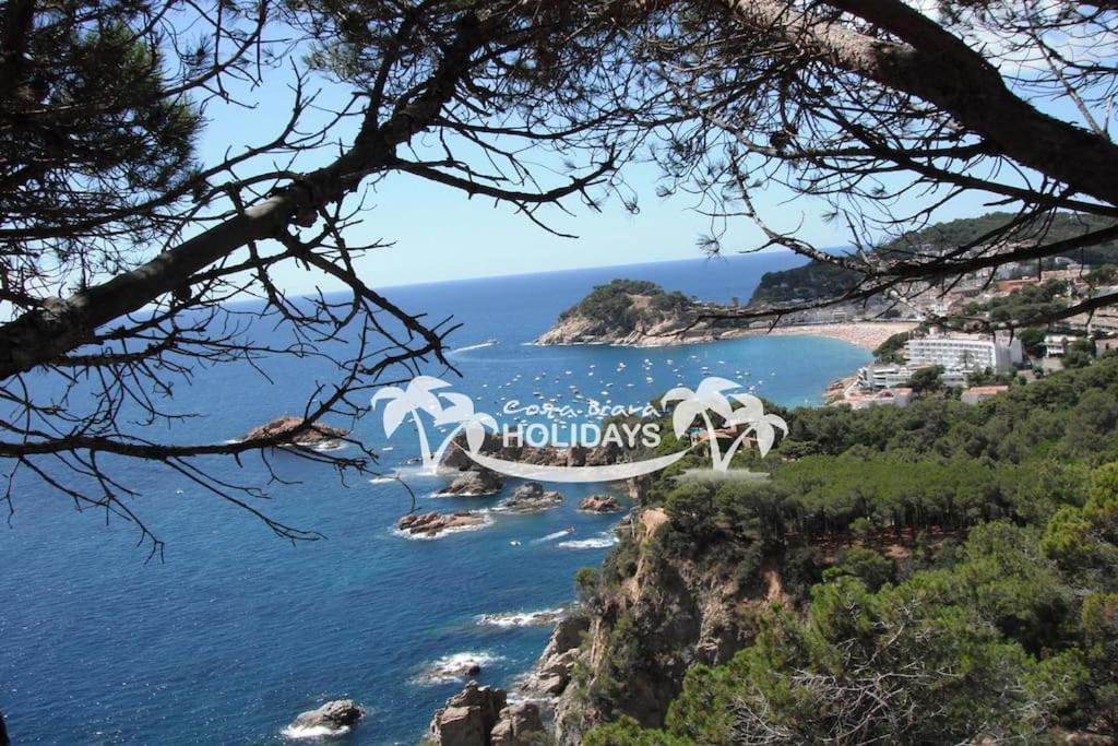 Villa Costa Brava Holidays Mimosa Sea View And Luxe