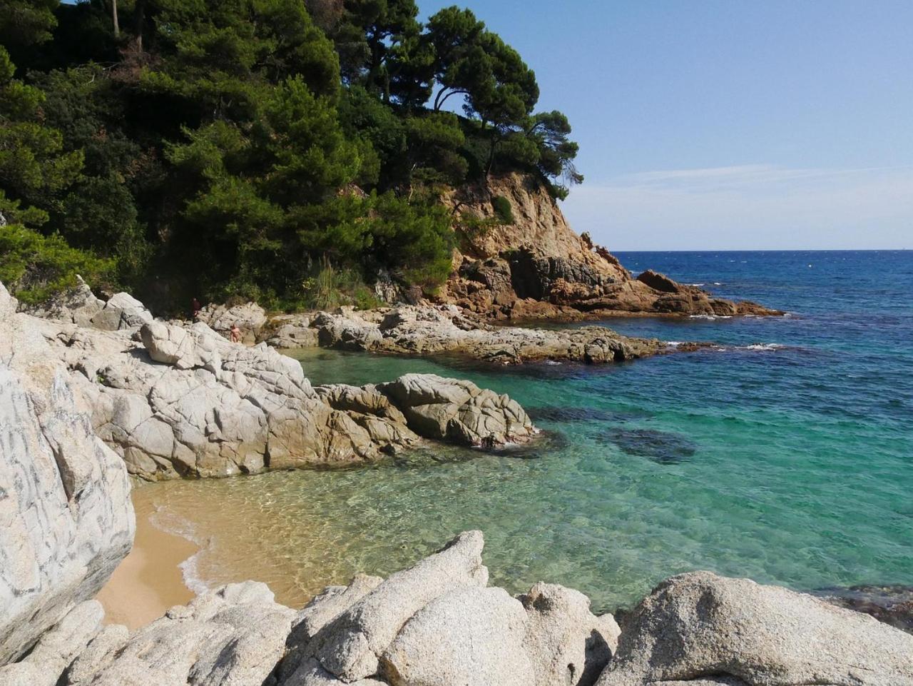 Nexthome Center & Pool Lloret de Mar