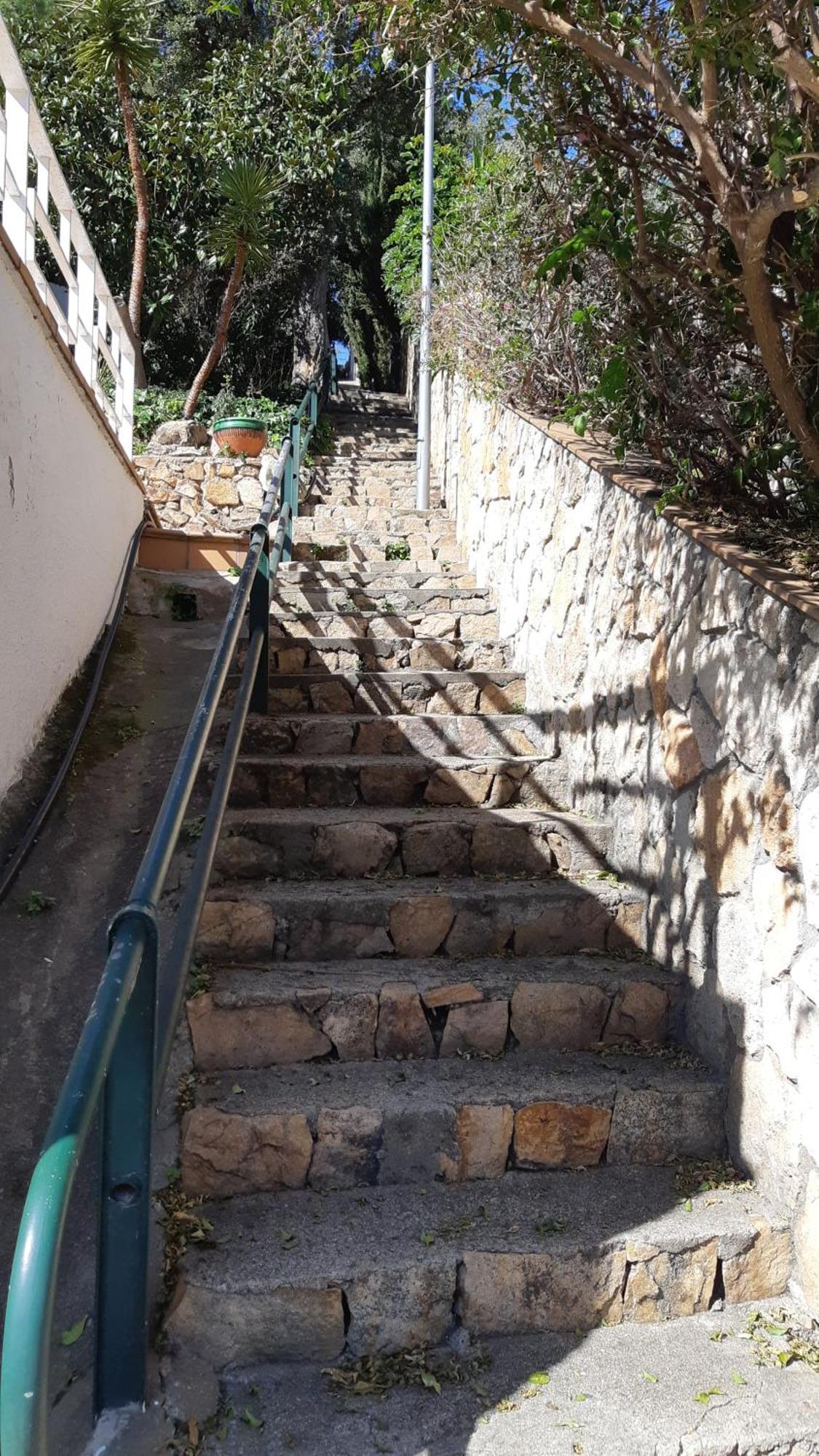 Oli -