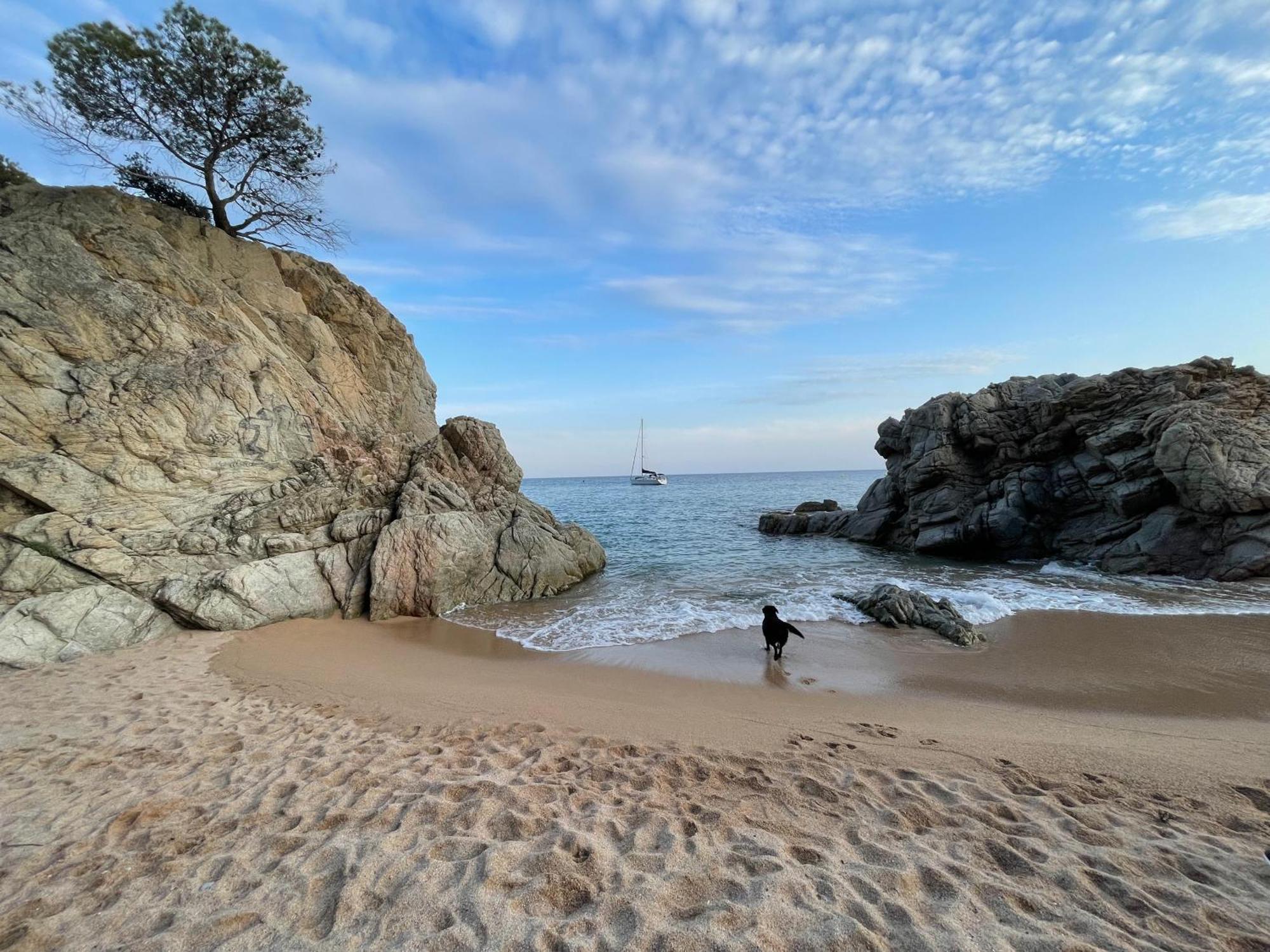 Appartement Pinzon, Gezellige Familievilla Met Groot Zwembad. Lloret de Mar