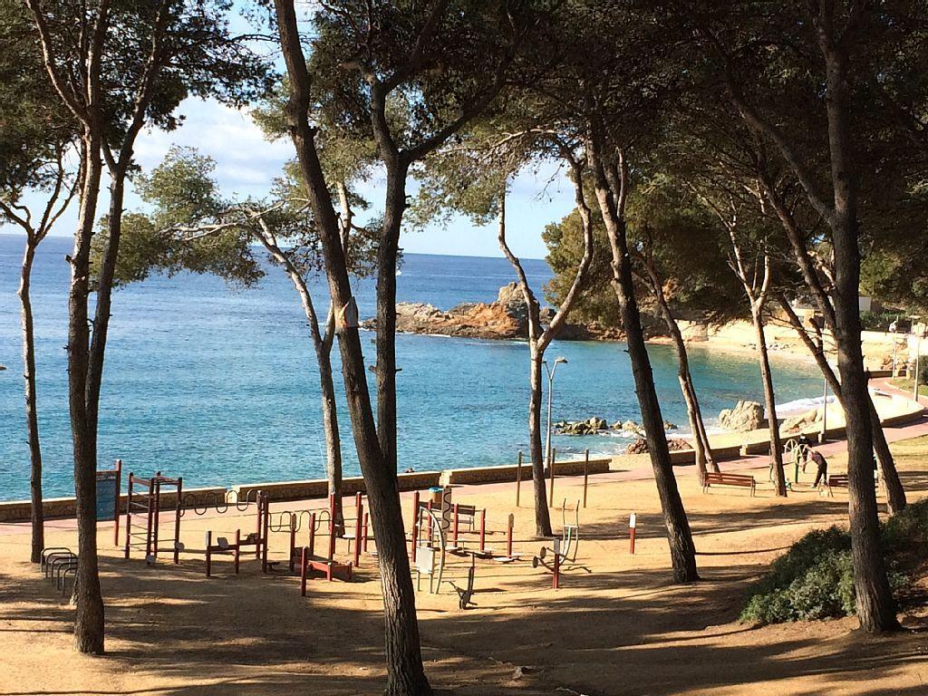 Estudio Paz Lloret de Mar