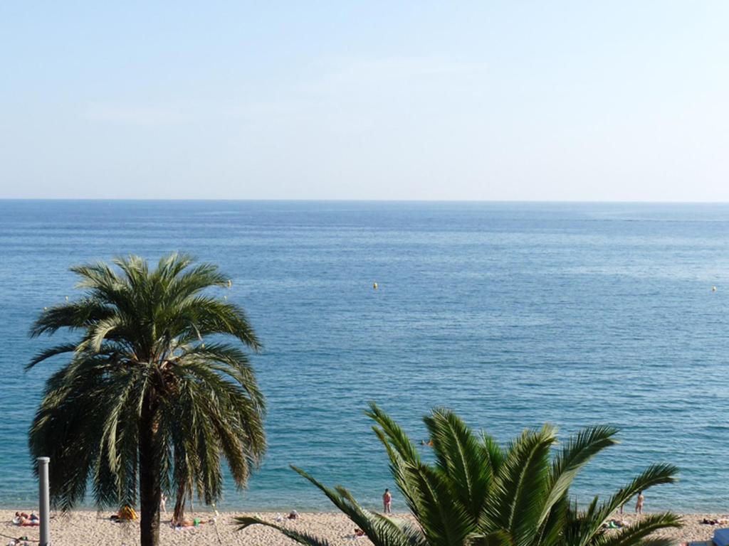 Tropic