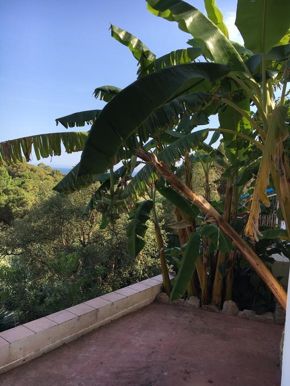 Casa Con Vistas Al Mar Y Piscina Privada Holiday home Lloret de Mar