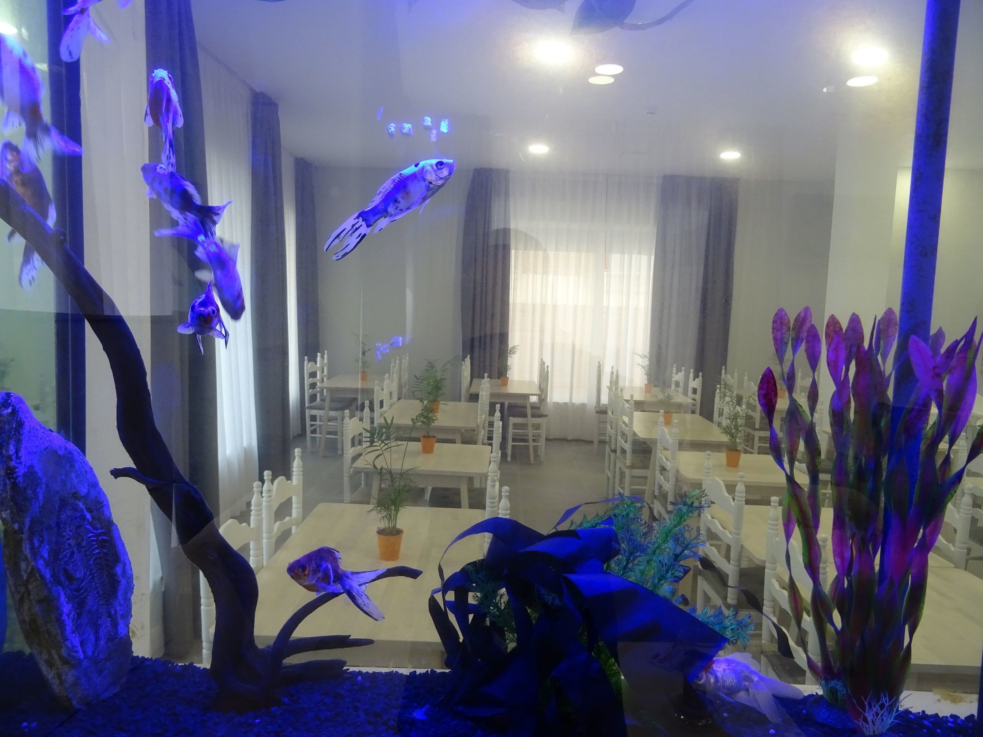 Hotel Victoria - Lloret Hotel Lloret de Mar