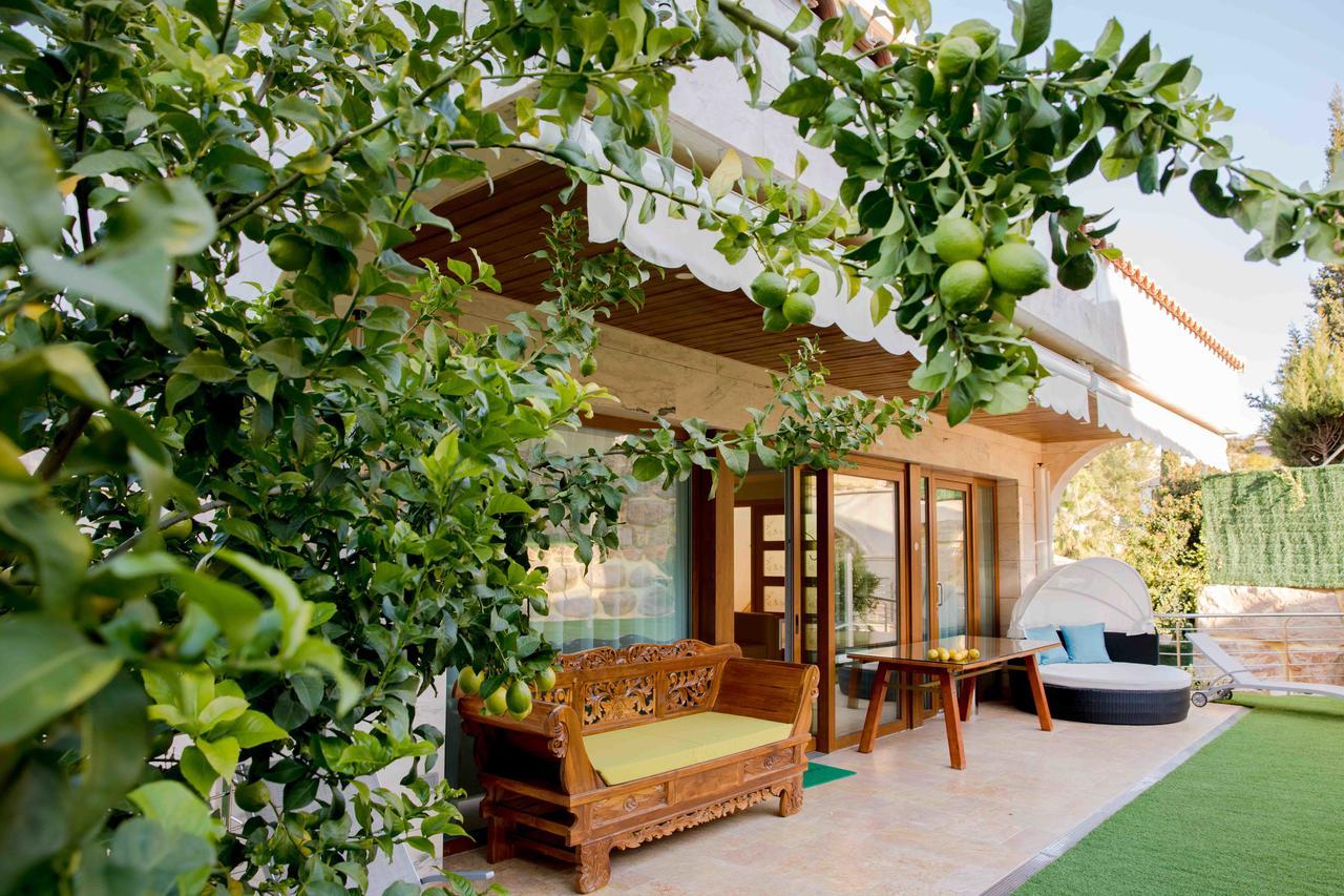 Eco Geo Sol Villa