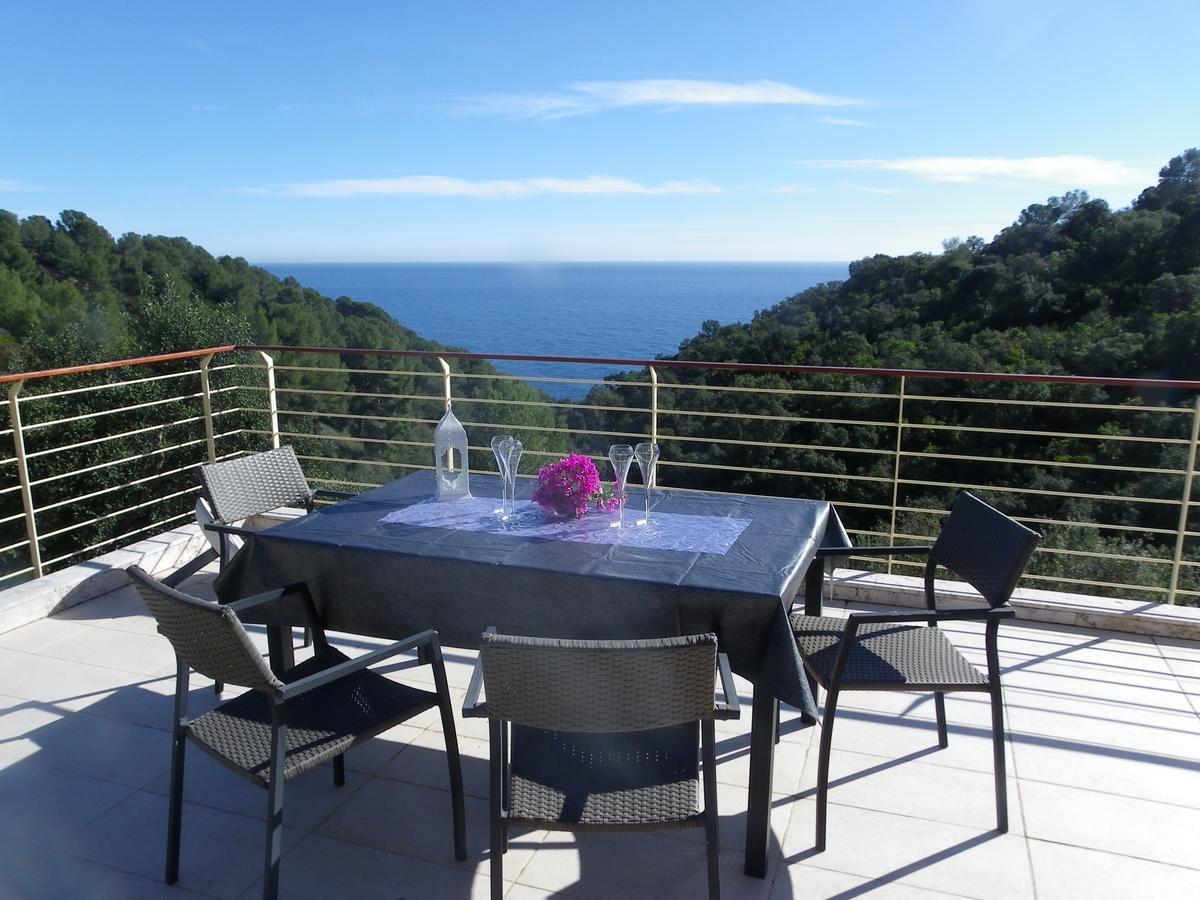 Danlux Remy Lloret de Mar