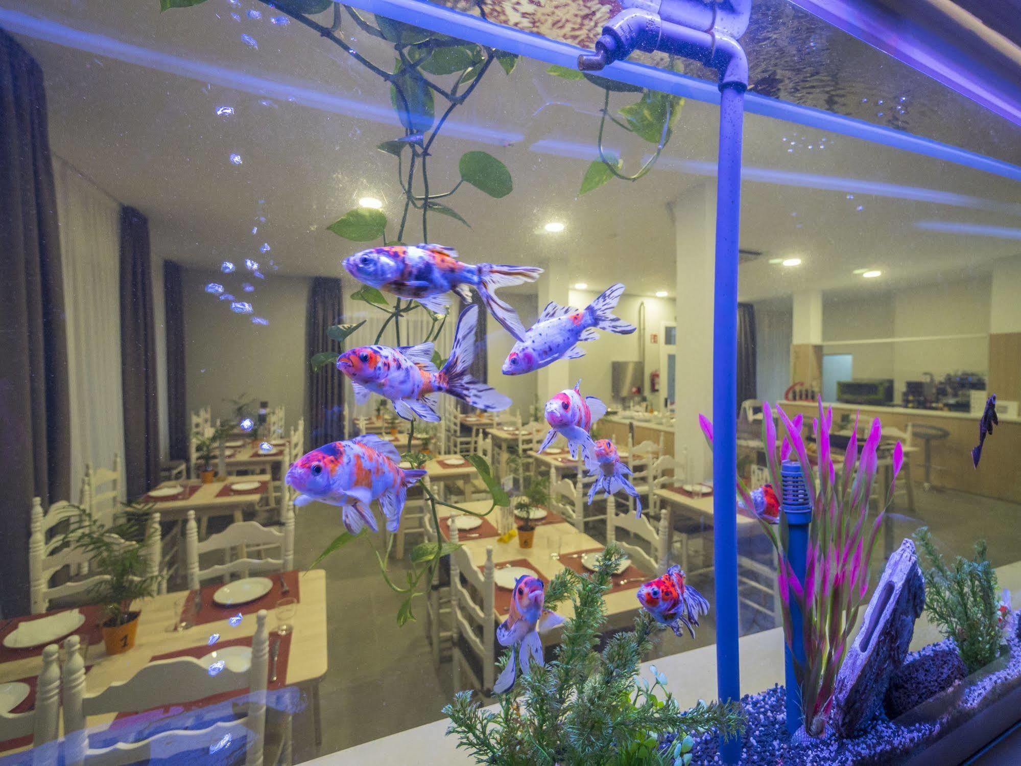 Hotel Hotel Victoria - Lloret