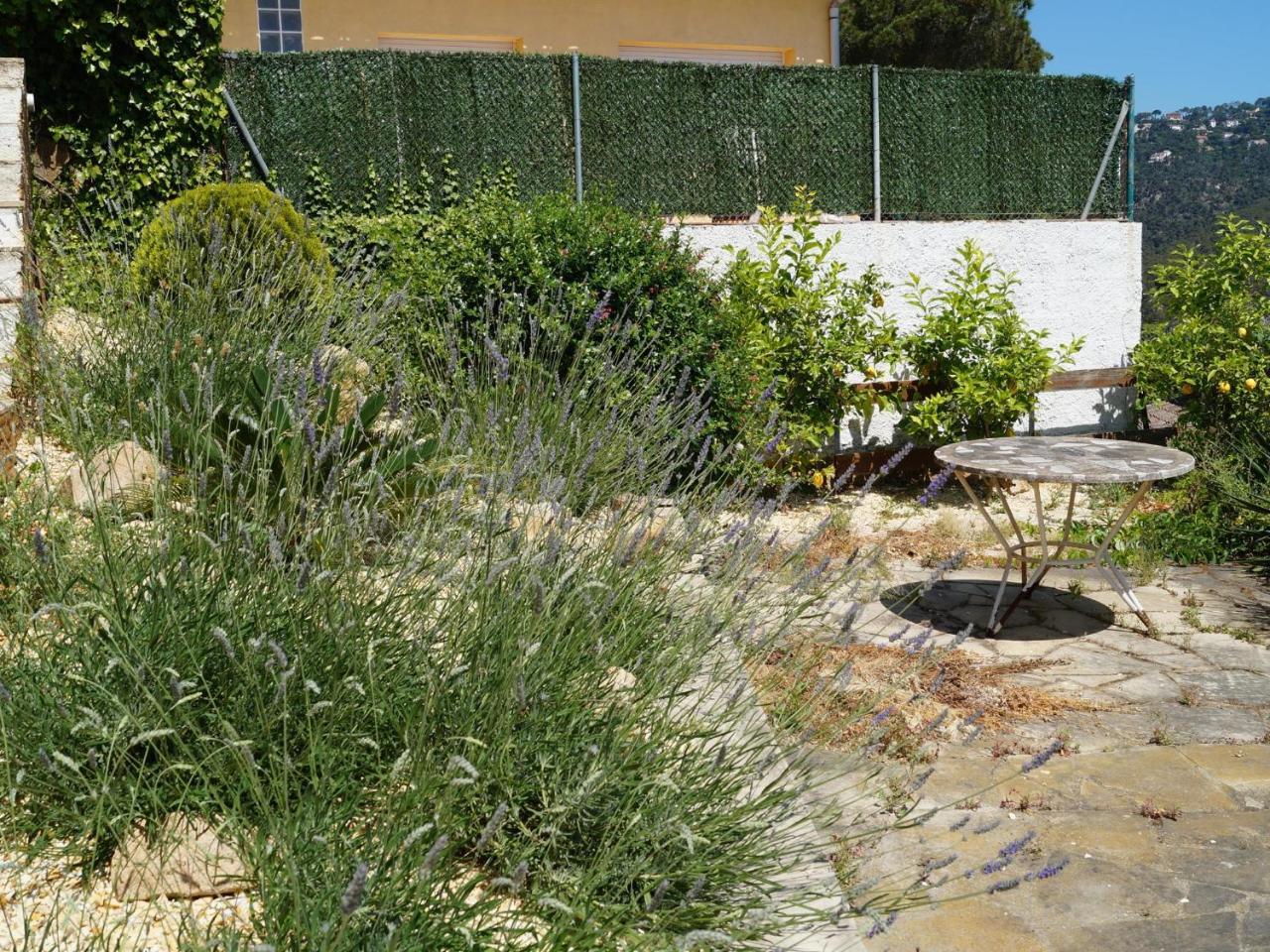 Villa Balu