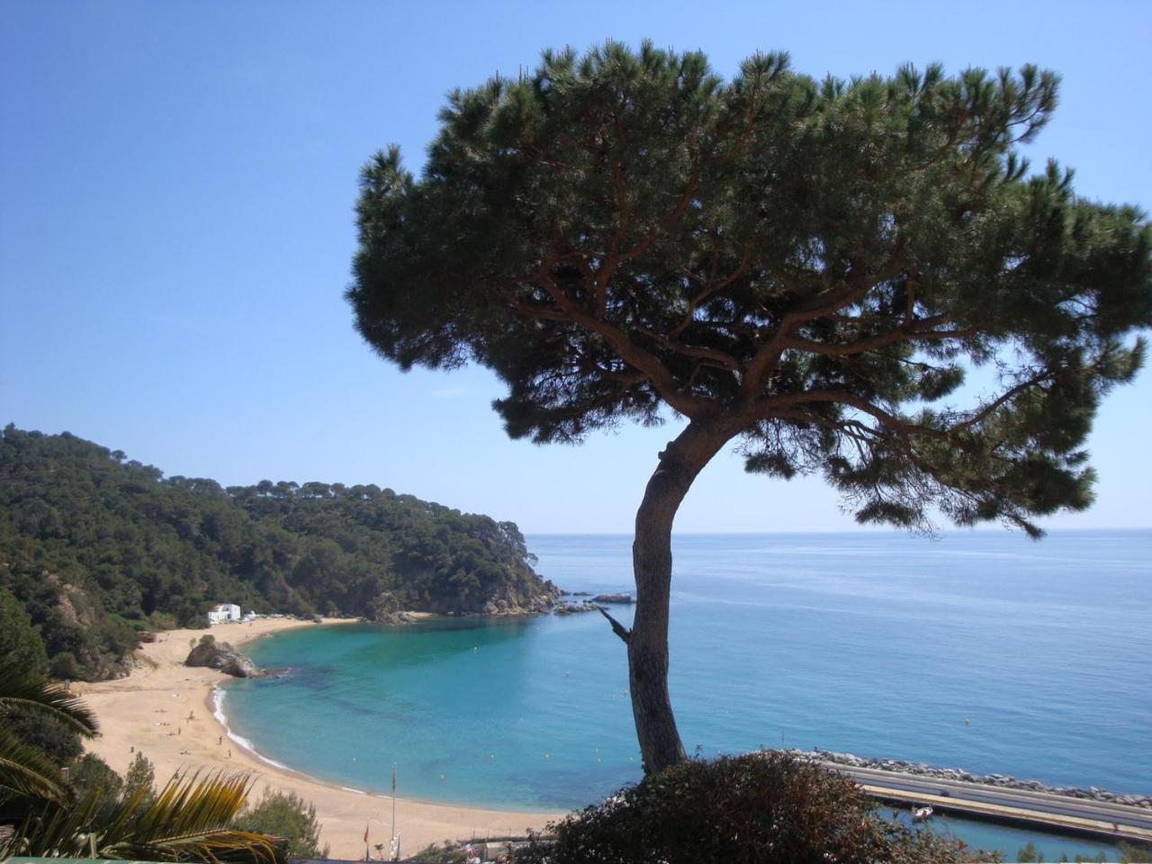 Palmera Pousada