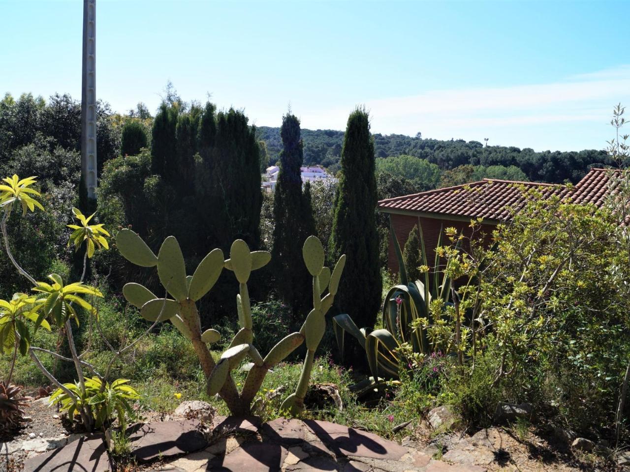 Torre Isabel