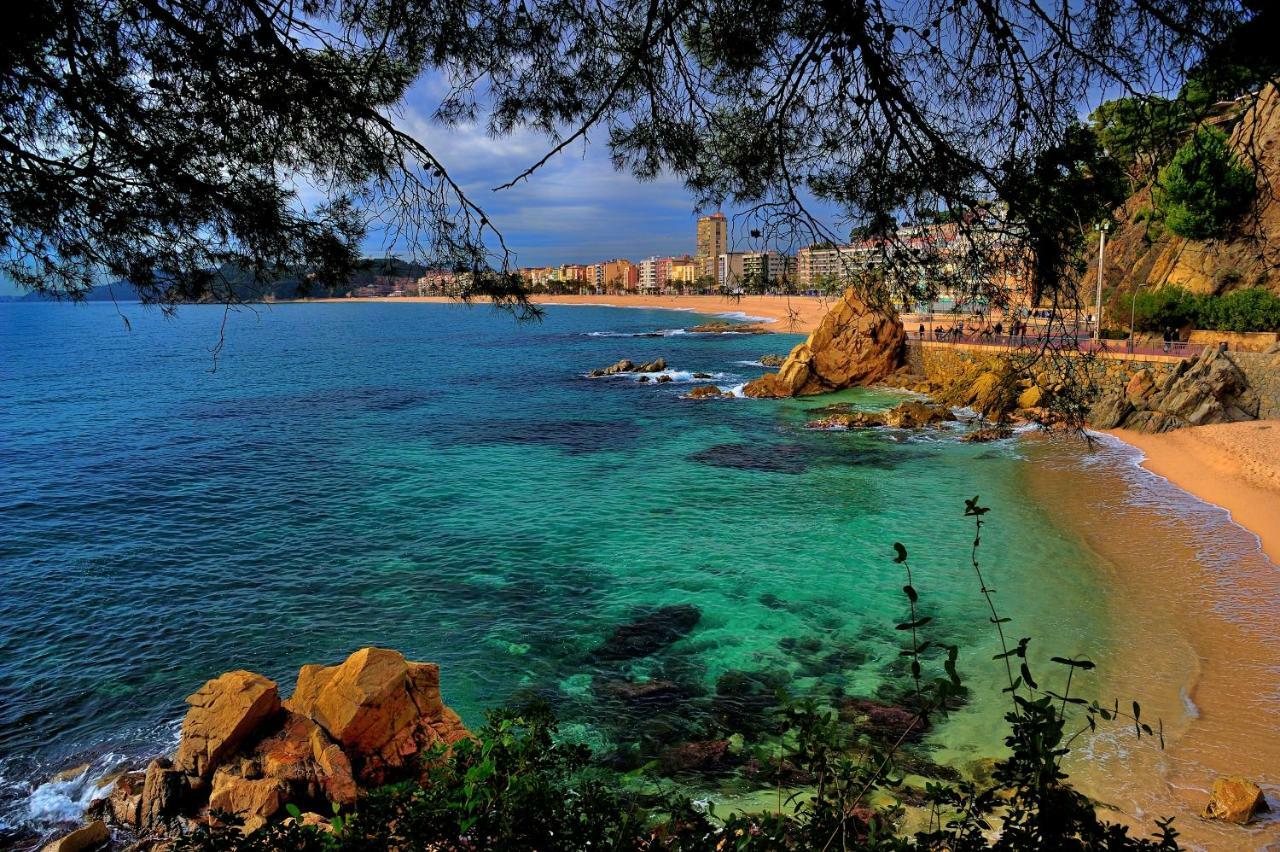 Alva Park Holidays Apartment *