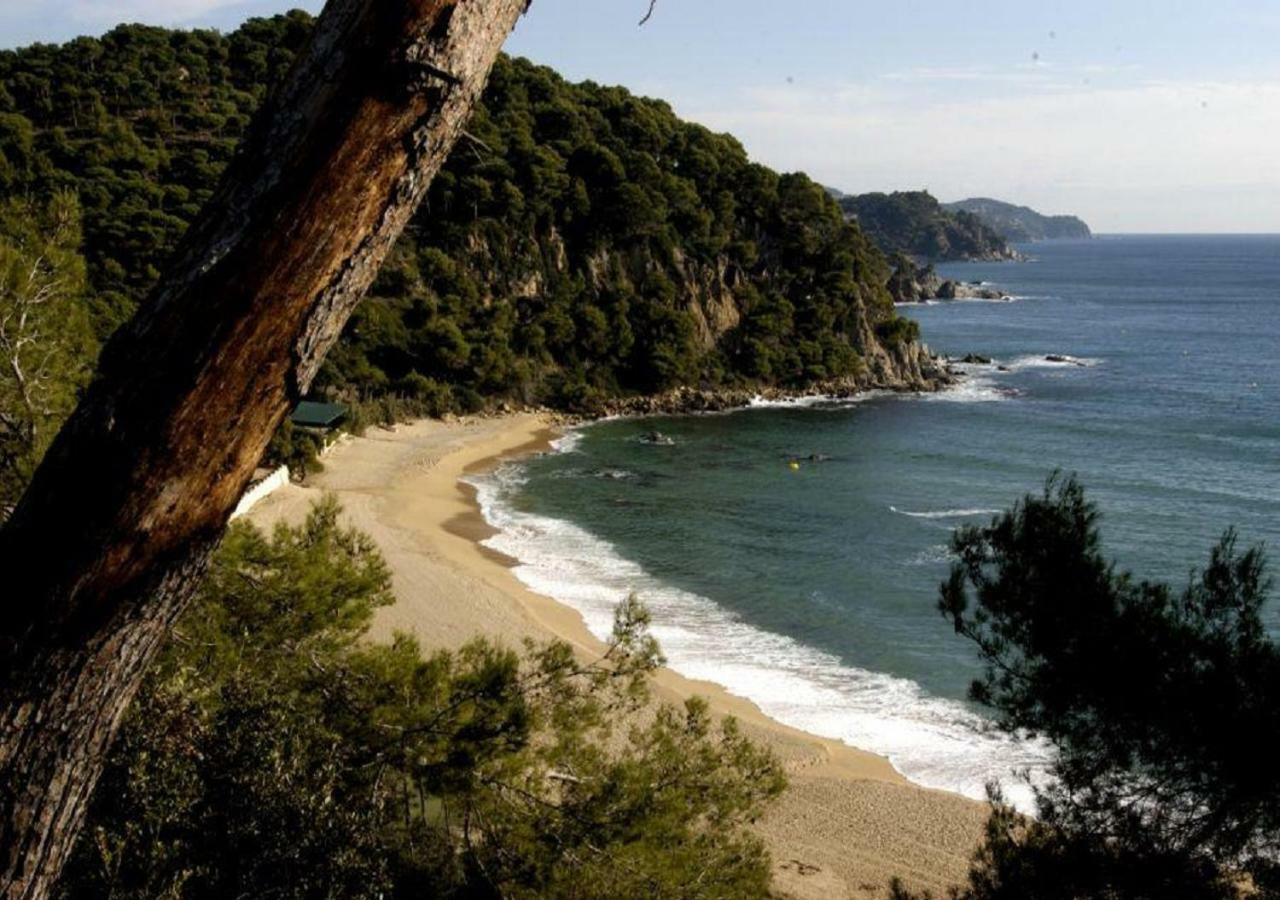 Villa Vivalavida Playa 1km Lloret de Mar