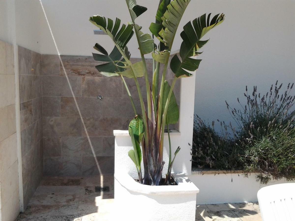 Apartamento Sol- Fanals *