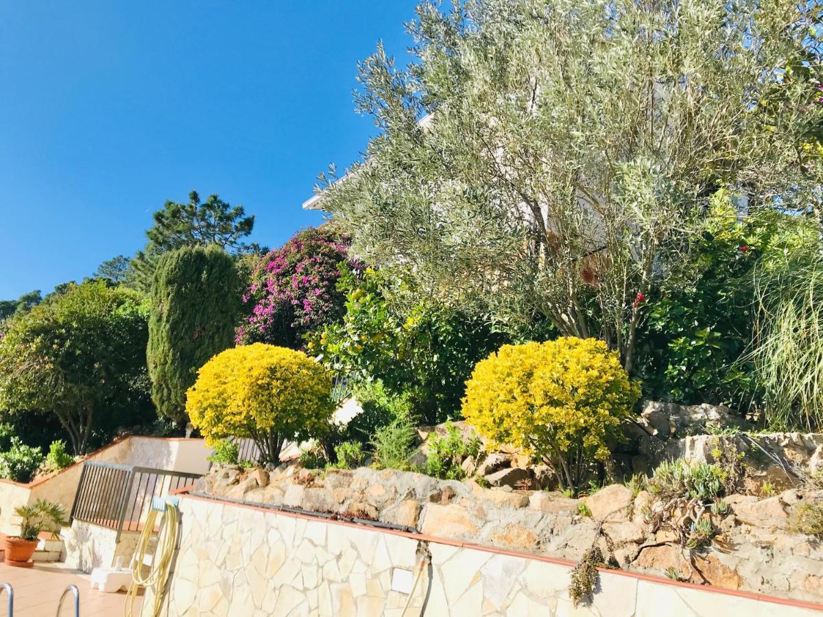 Mediterranean Investingspain Sea View And Pool Villa *