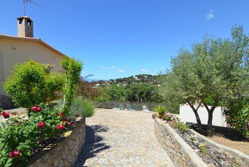 Villa Club Villamar - Enara