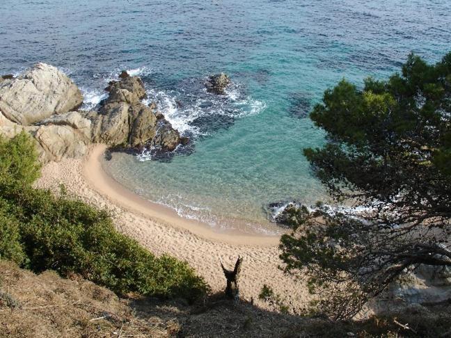 Laurel Lloret de Mar
