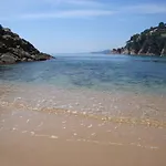 La Gaviota