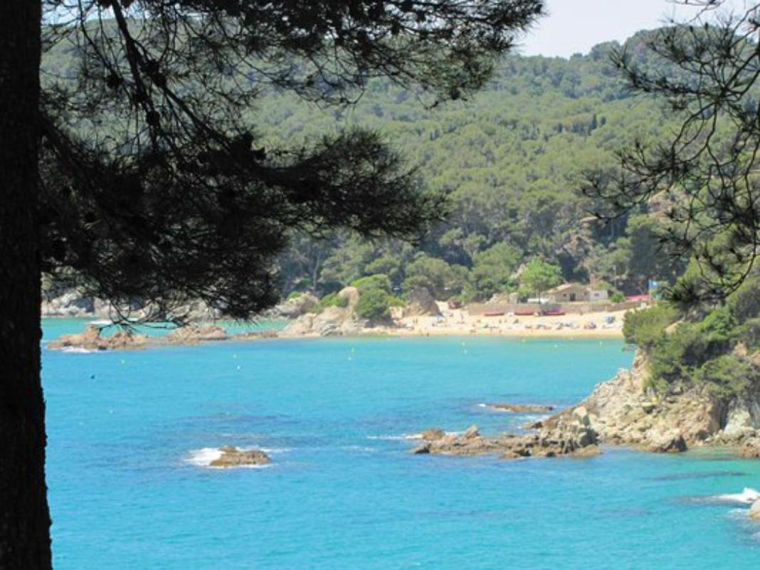 Sunny Sa Boadella Big Solarium Sea View Apartment