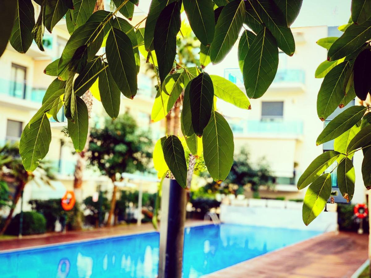 Apartment Con Piscina Y Parking En *