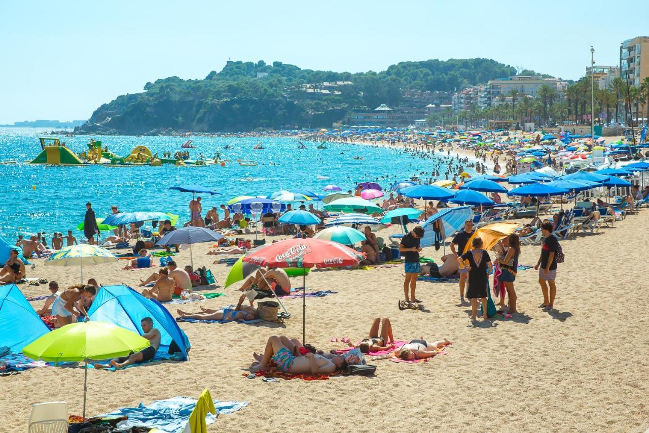 Al36 - De Lujo A 100 Metros De Playa Apartamento *