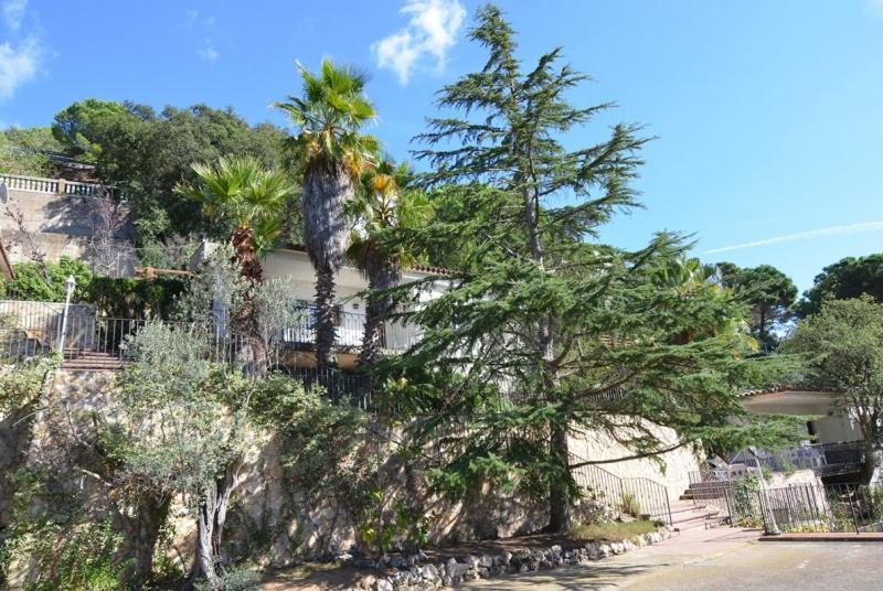 Villa Club Villamar - Jaime 2