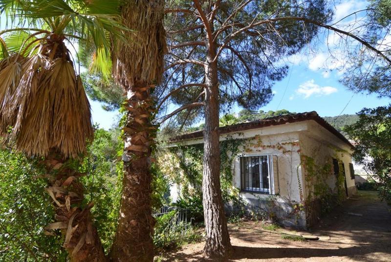 Villa Club Villamar - Jaime 2
