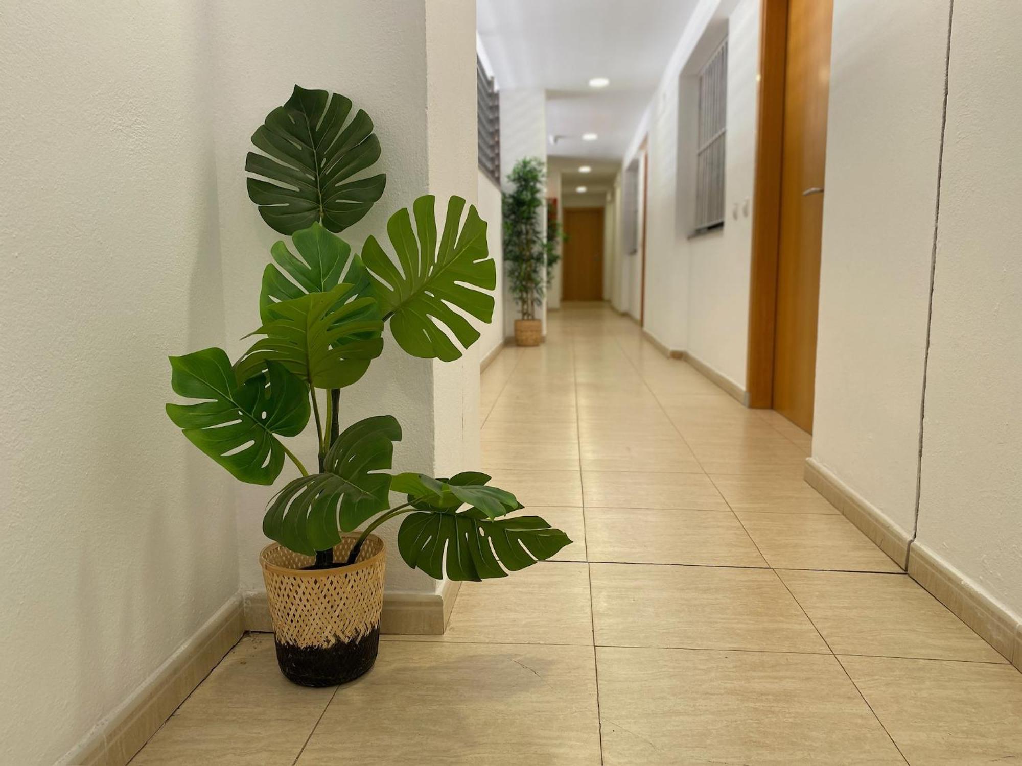 Brava Apartamento Lloret de Mar