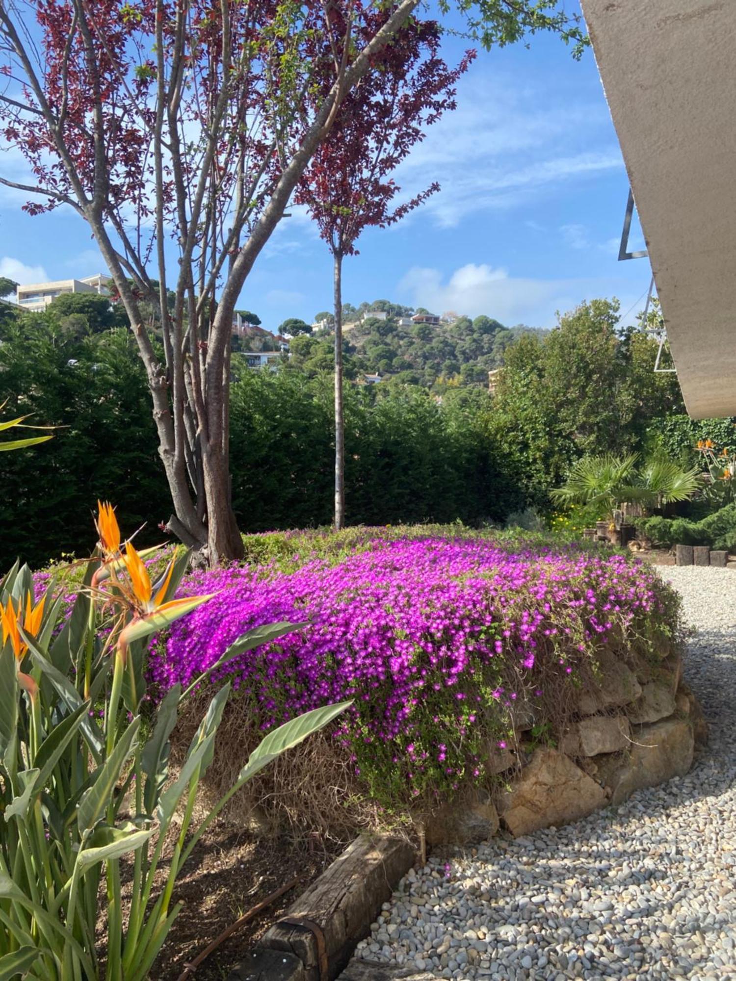 Casa Namar - Costa Brava *