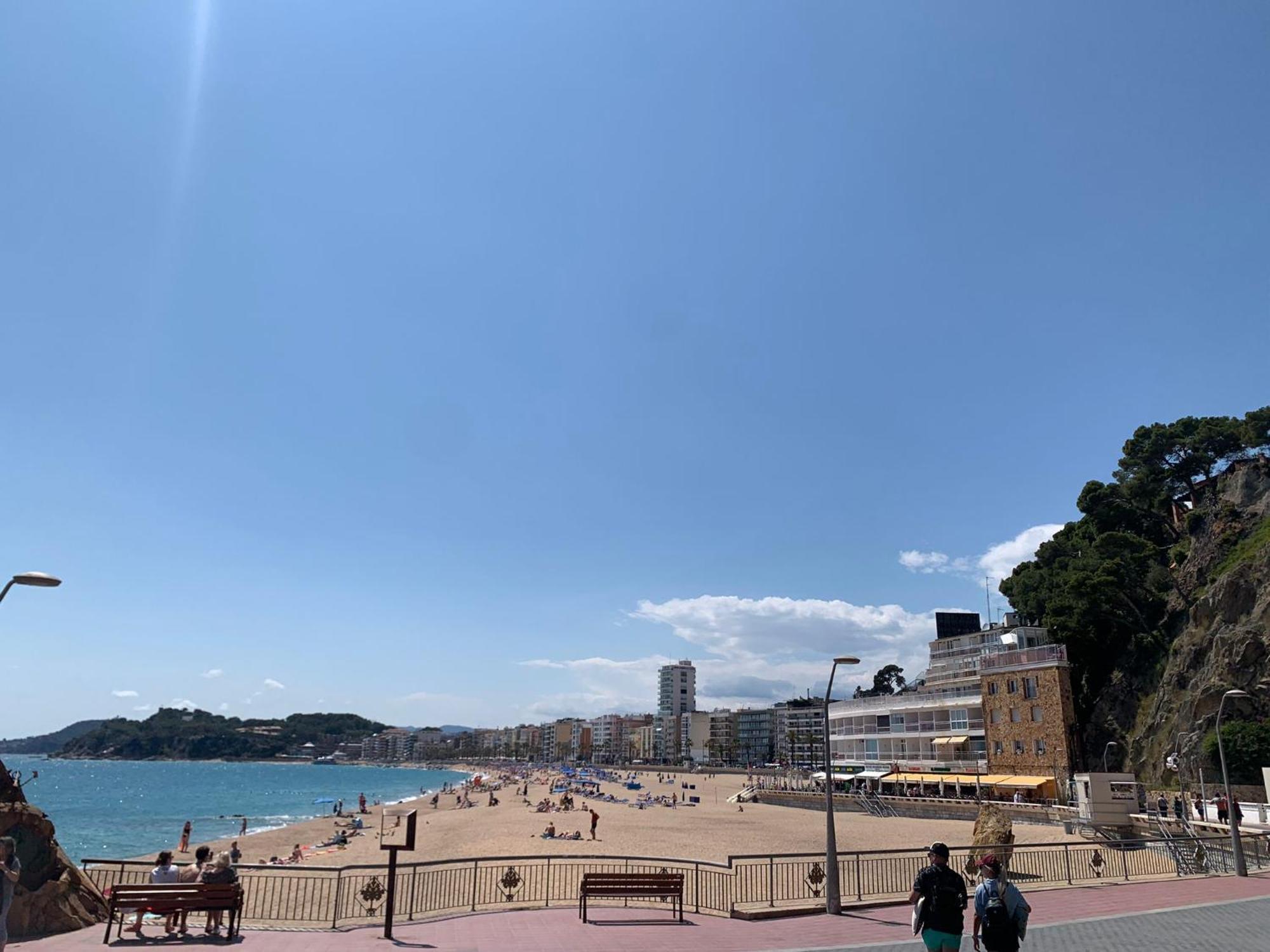 Oliva Mar