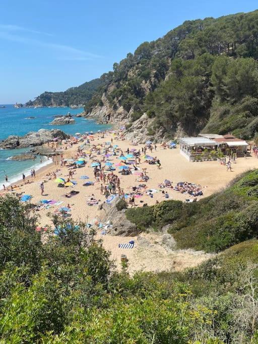 Apartment Loft, Lloret de Mar