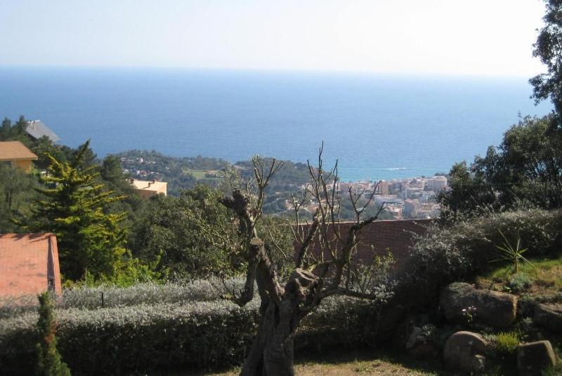 Club Villamar - Caipirinha Lloret de Mar