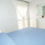 Zodiak Apartment