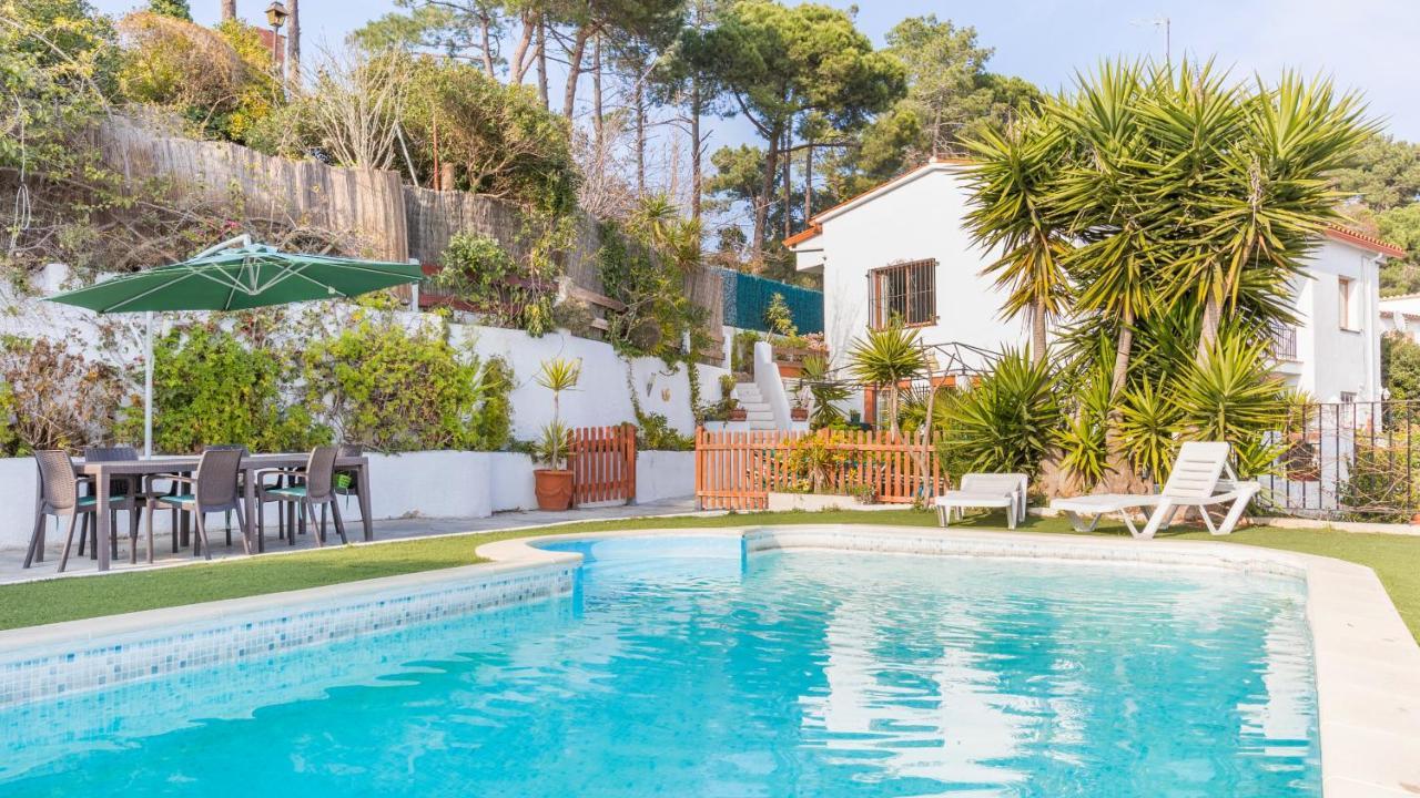 Palme -