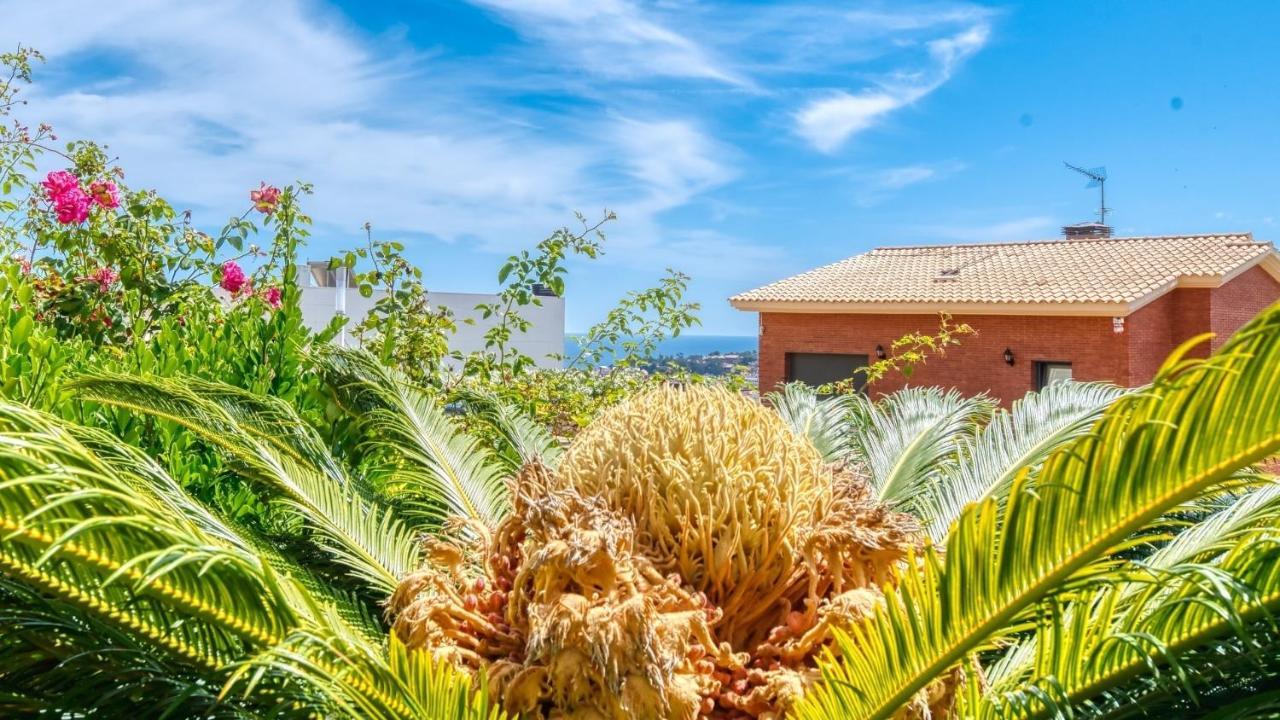 Costacabana - Monte Cristo Appartement *